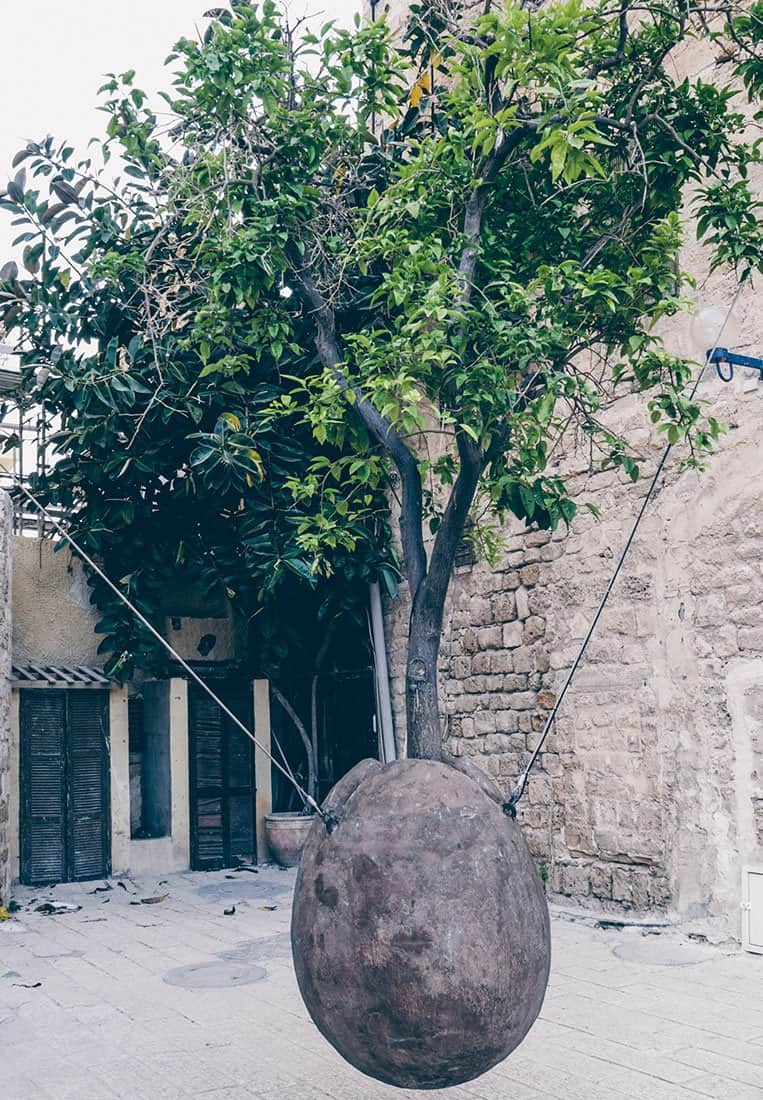 Suspended Orange Tree – Old Jaffa