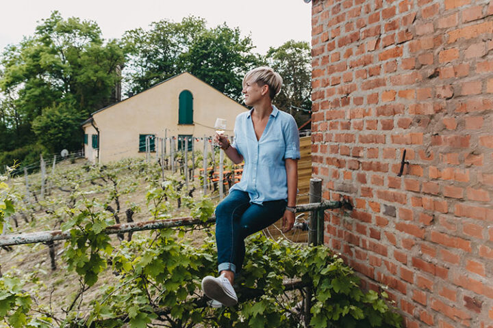 Das Weingut Dahms auf der Peterstirn, Schweinfurt