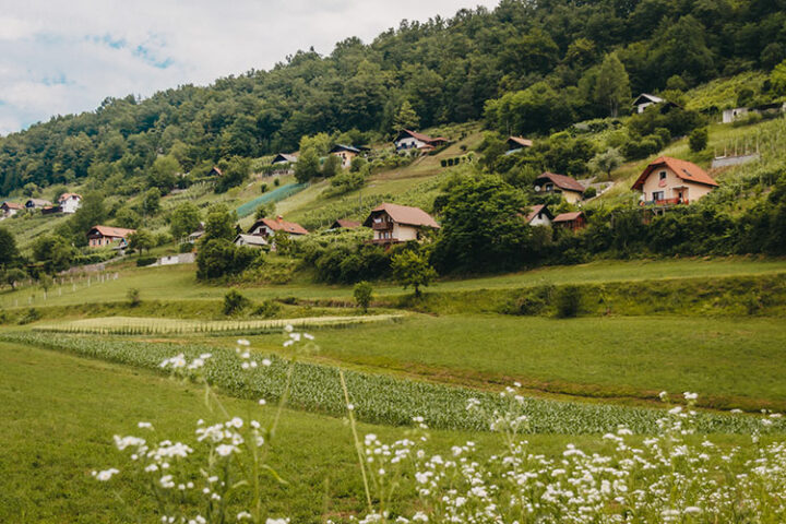 Die Weinregion Dolenjska, Slowenien
