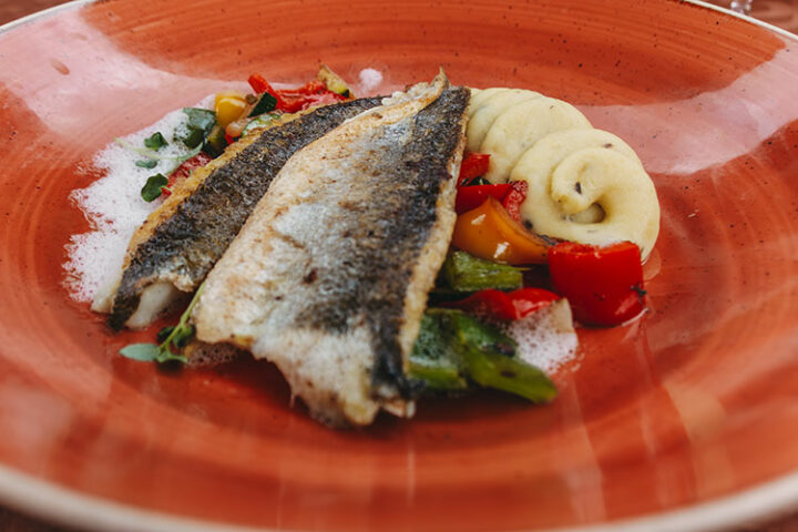 Gostilna Ribic, Ptuj, Slowenien