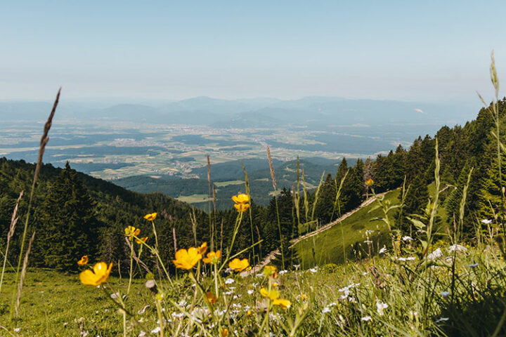 Krvavec Alpine Resort, Slowenien