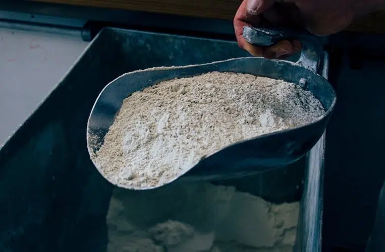 Der Grünwehrbeck in Kulmbach