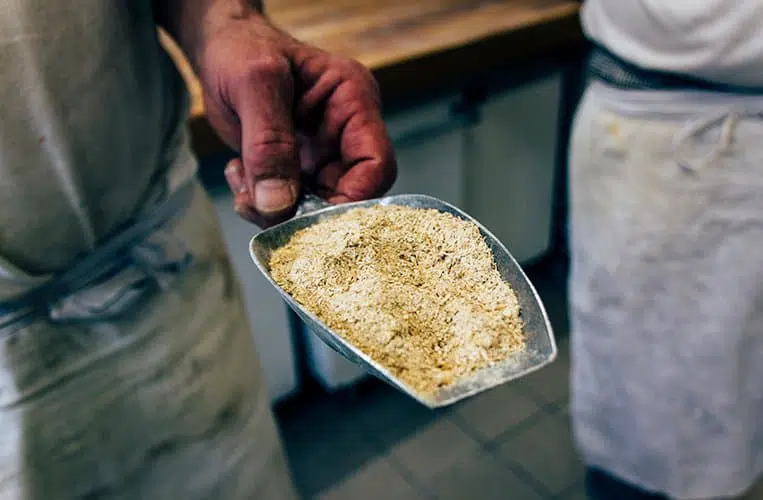 Der Grünwehrbeck in Kulmbach