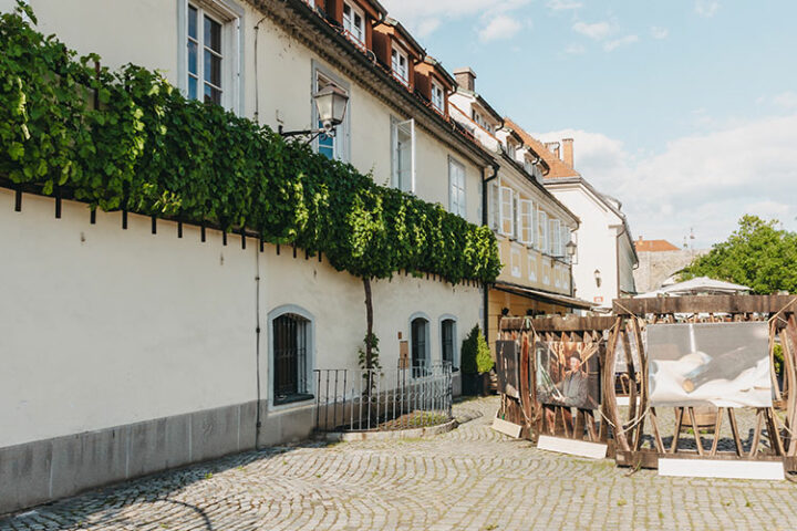 Haus der Alten Rebe, Maribor