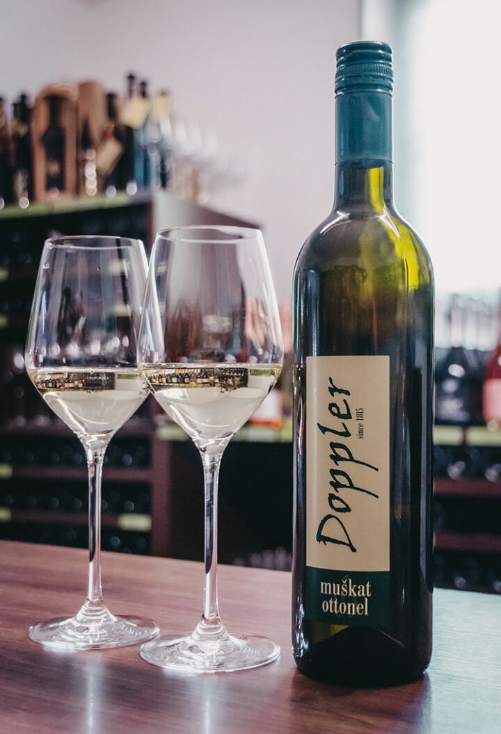 Haus der Alten Rebe, Maribor