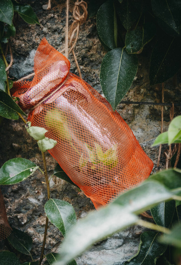 Kartäuserkloster Pleterje, Slowenien, Unterkrain