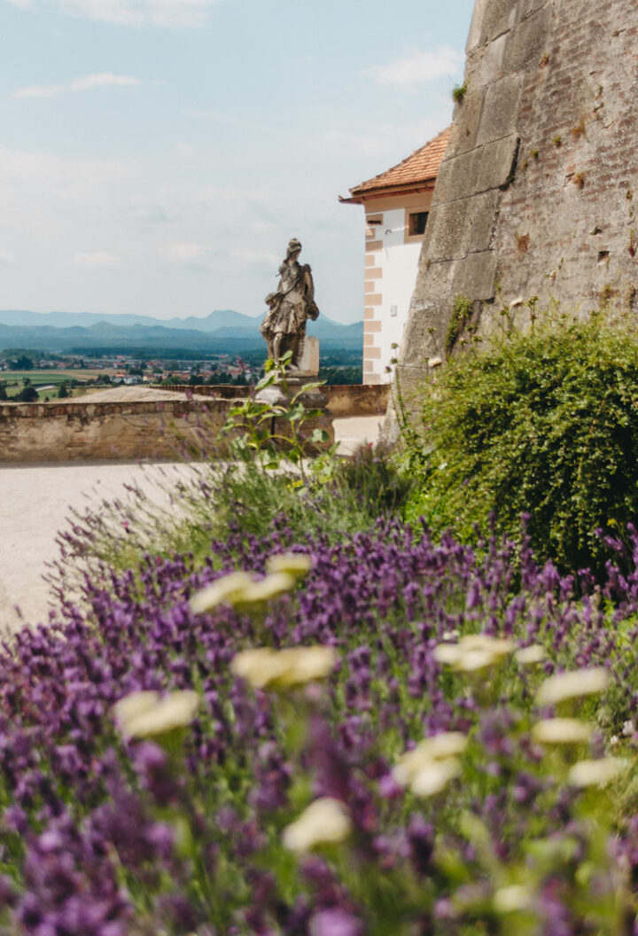 Ptuj ist die älteste Stadt Sloweniens