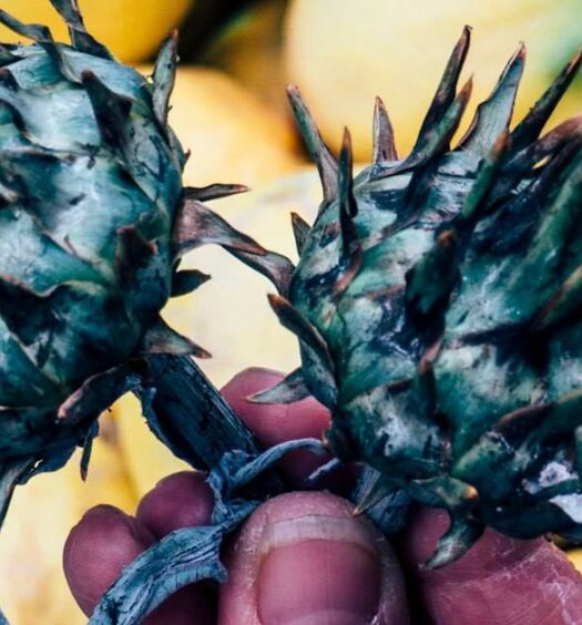 Ramla – Mein heimlicher Held Israels