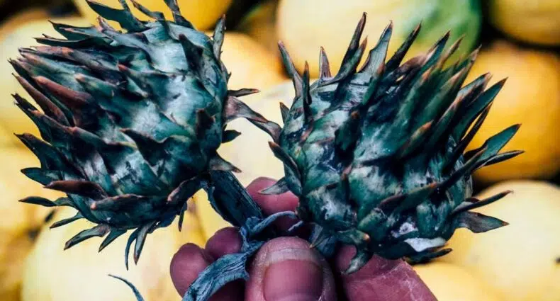 Ramla – Mein heimlicher Held Israels