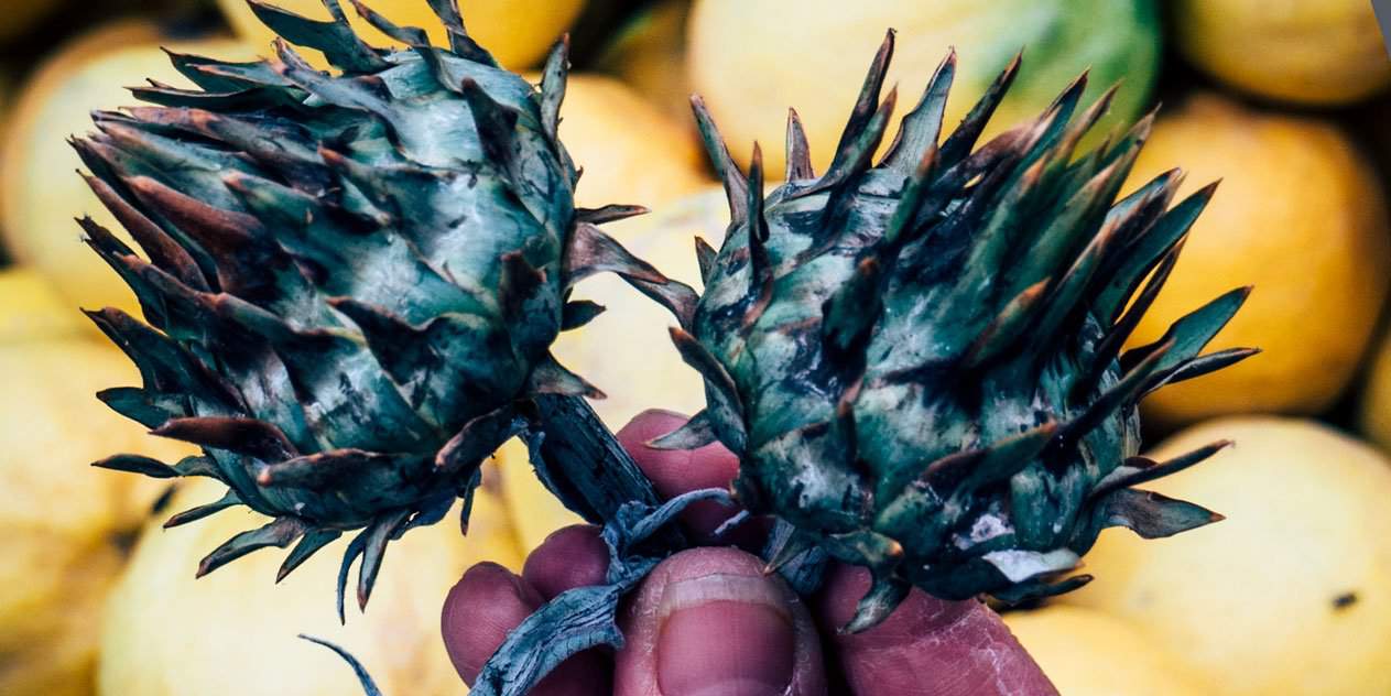 Ramla – Mein heimlicher Held Israels