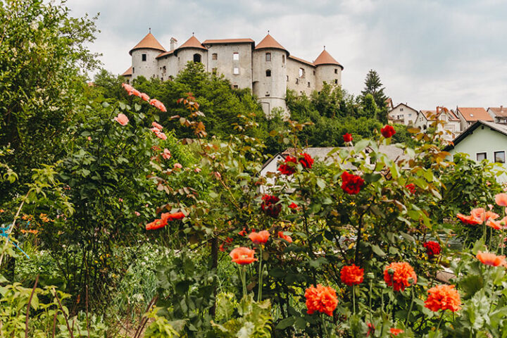 Burg Zuzemberk, Dolenjska, Slowenien