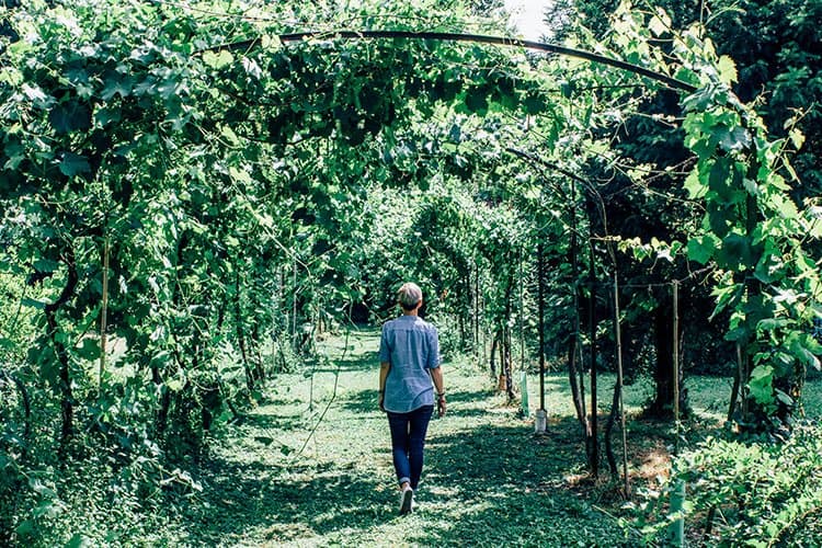 Antica Acetaia Villa Bianca