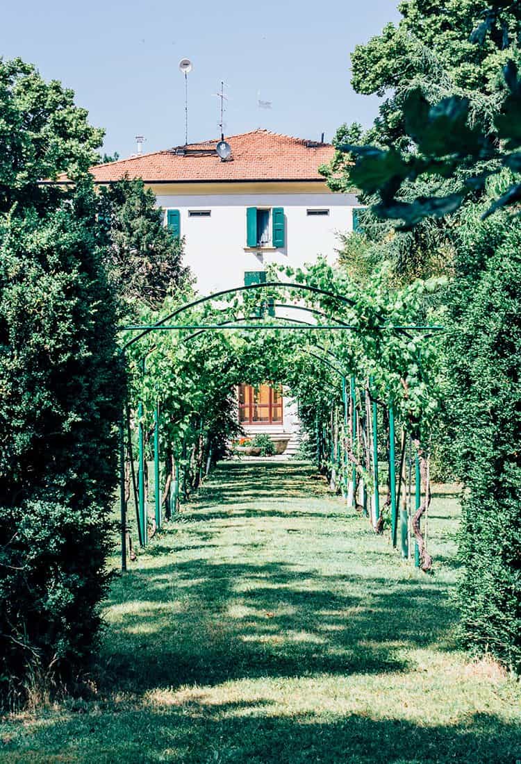 Antica Acetaia Villa Bianca