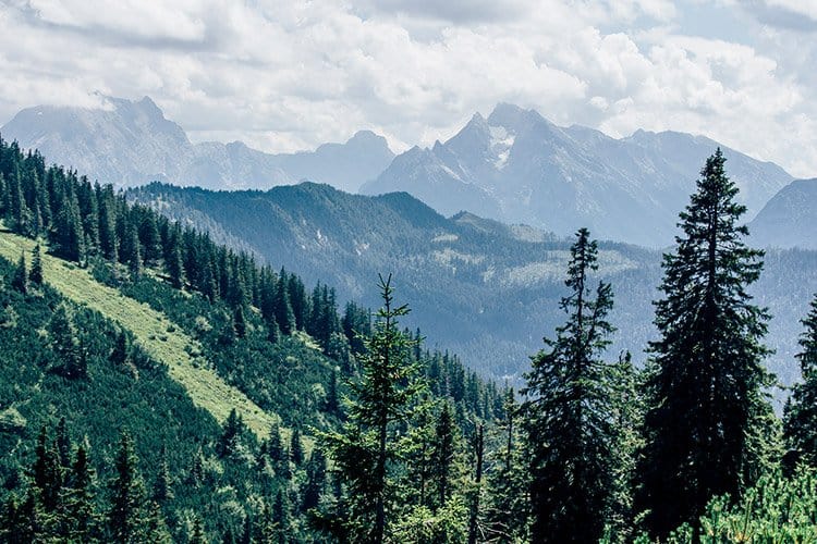 Gipfel des Predigtstuhl