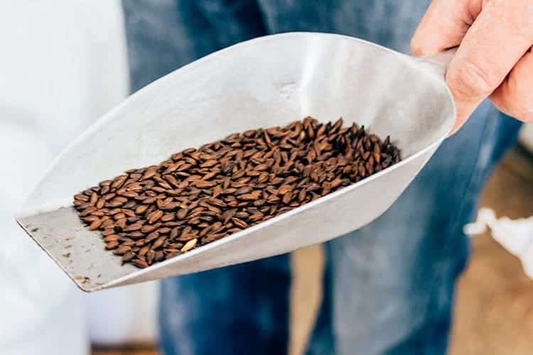 Brauseminar im Baderbräu Schnaitsee