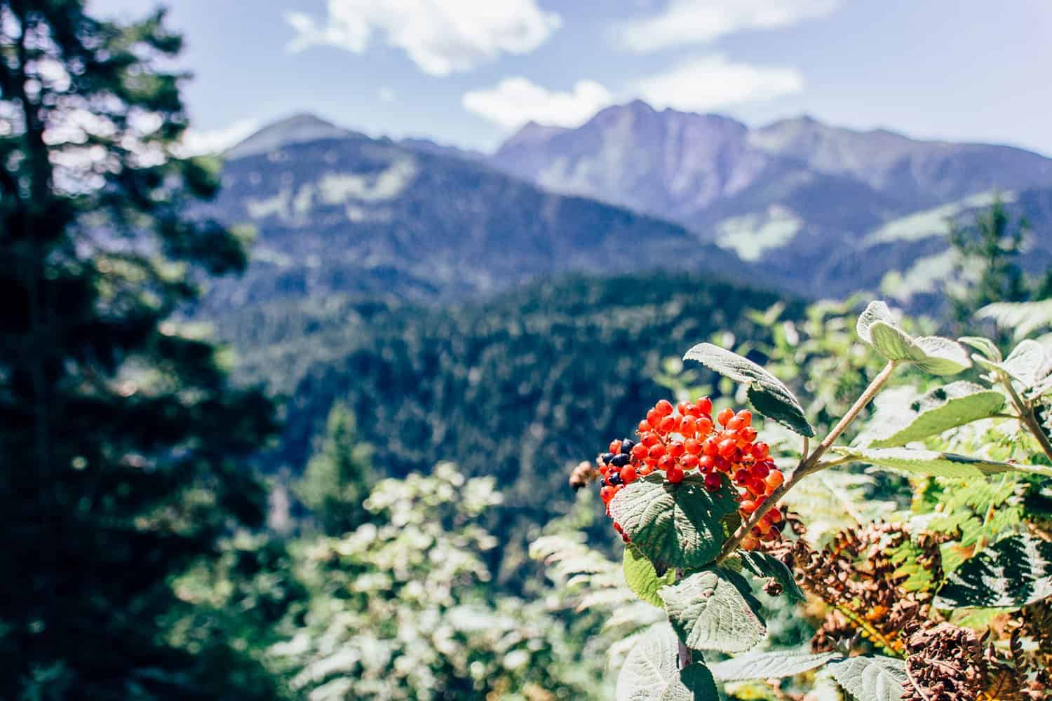 Panorama von der Aussichtsplattform Il Spir