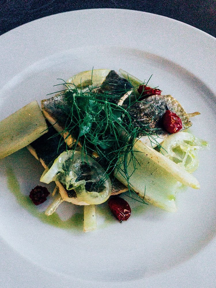 Casa Tödi Graubünden