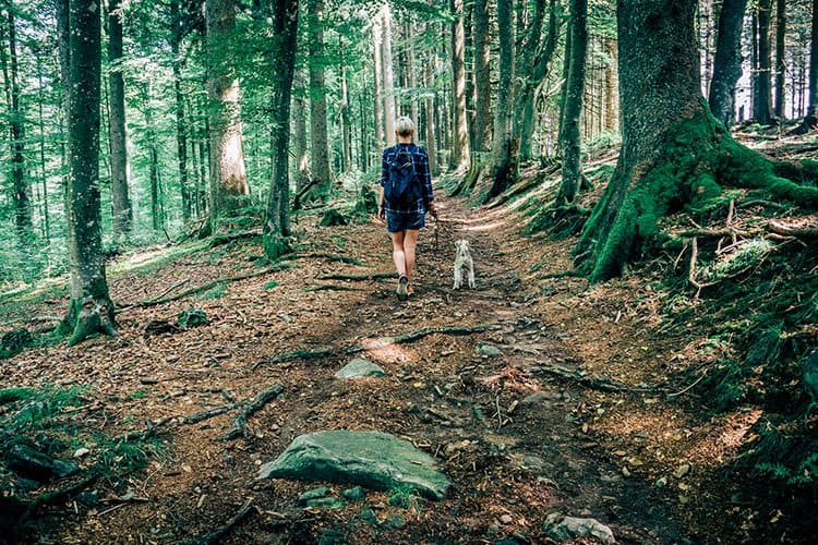 Mit Zorro unterwegs im Münstertal