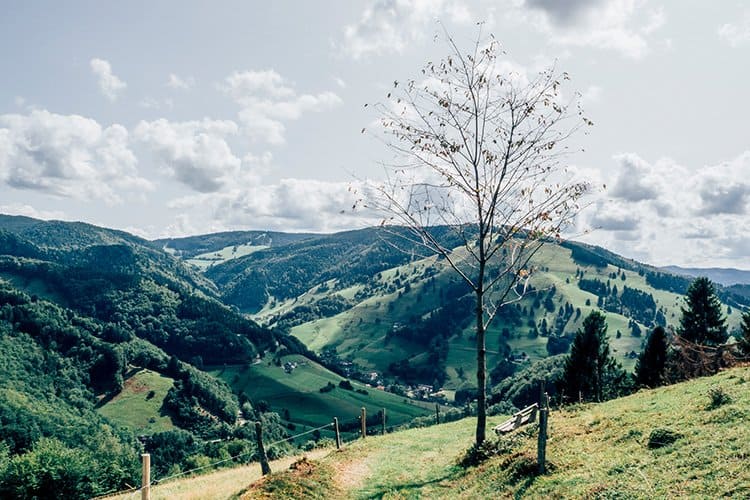 Wandern im Obermünstertal
