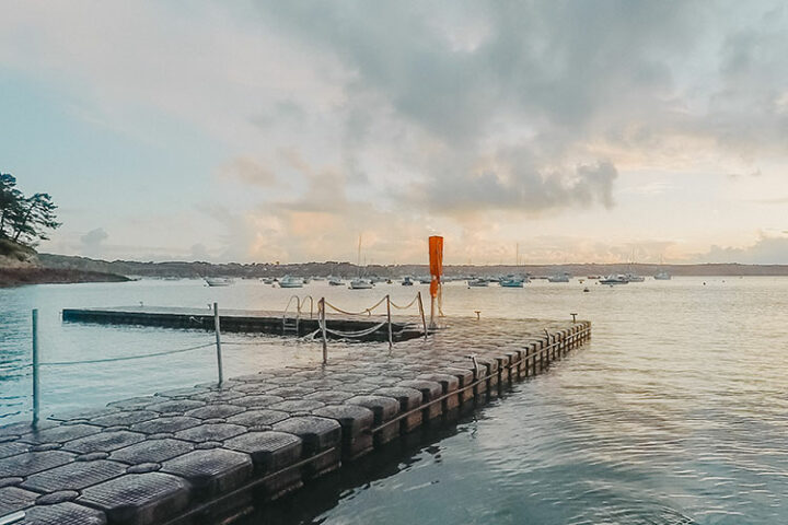 Schnorcheln mit Kegelrobben mit Chalet Rando Mer, Bretagne