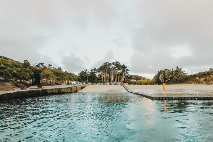 Schnorcheln mit Kegelrobben mit Chalet Rando Mer, Bretagne