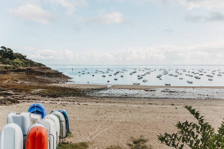 Ausflug mit dem Delfinverein Al-Lark, Bretagne