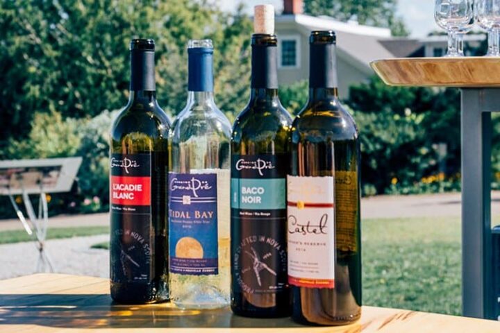 Wine & Gourmet Tour mit Grape Escapes