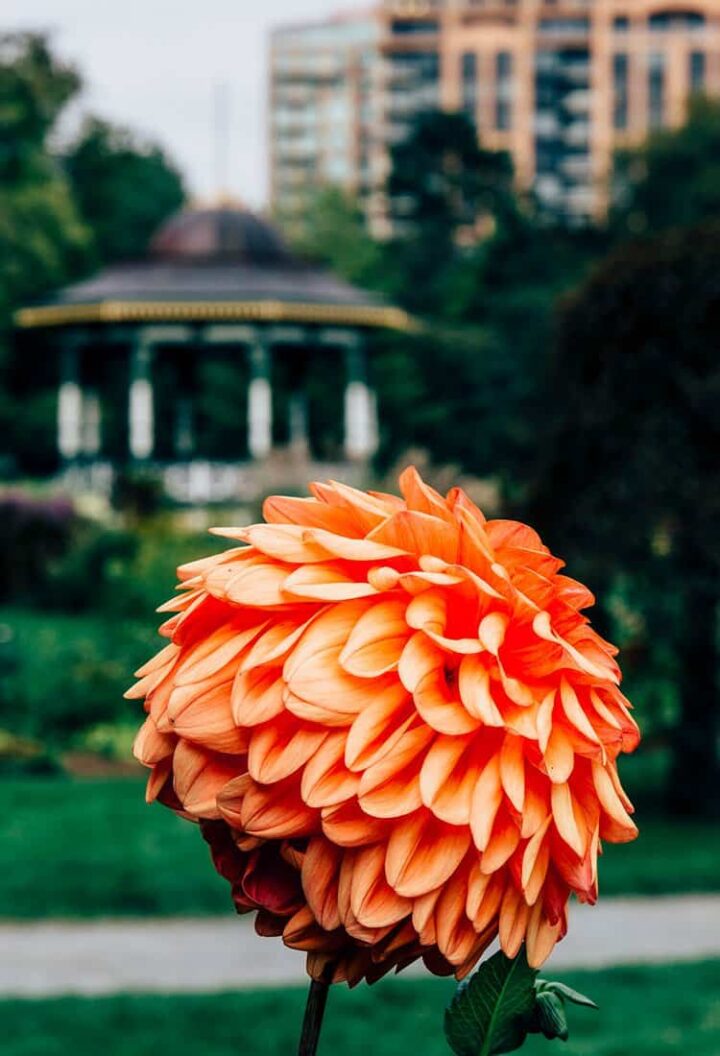 Halifax Public Gardens