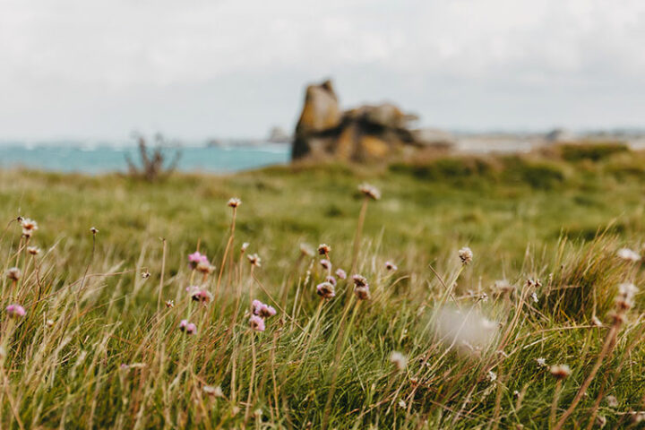 Île Vierge, Bretagne, Frankreich