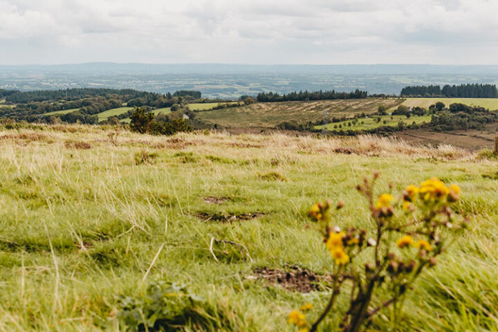 Wanderung in den Monts d’Arrée, Bretagne