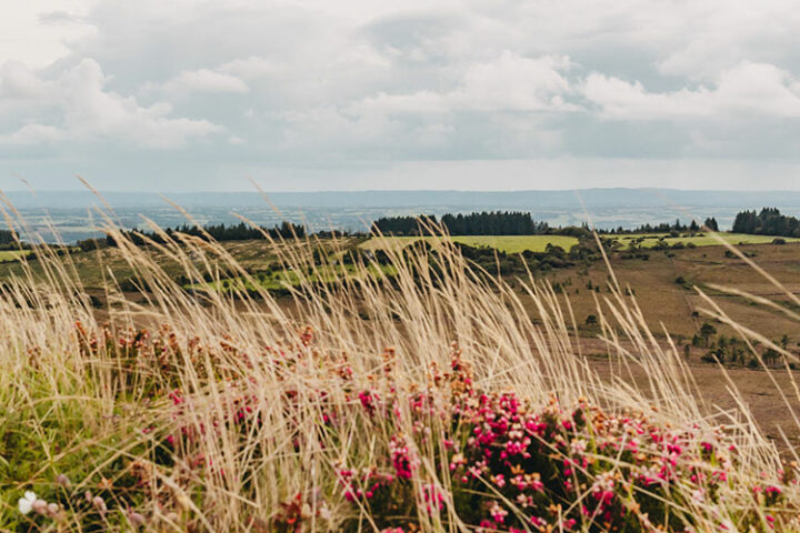 Wanderung in den Monts d’Arrée, Bretagne