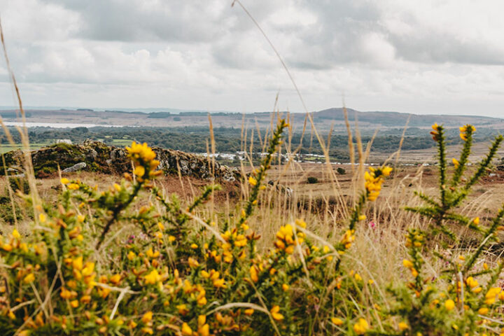 Wanderung in den Monts d’Arrée, Bretagne