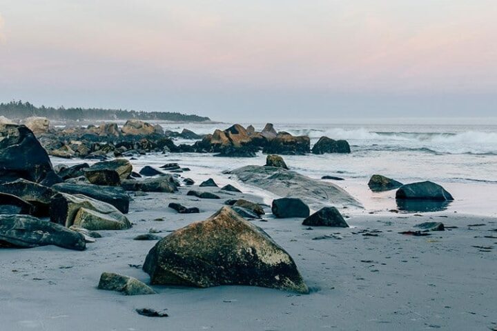 Das Stellar Beach Feast im White Point Beach Resort