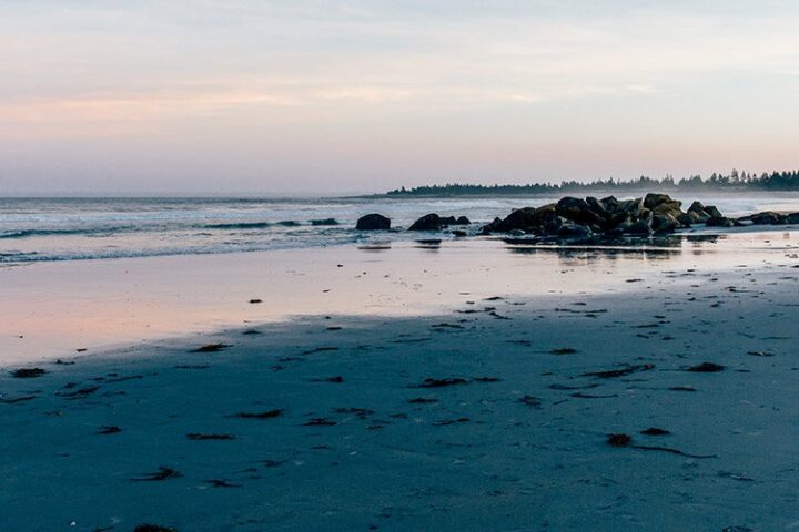 Das Stellar Beach Feast im White Point Beach Resort