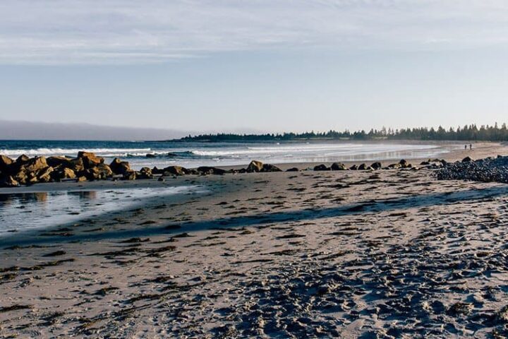 Das Stellar Beach Feast im White Point Beach Resort