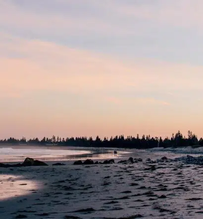 Das Stellar Beach Feast im White Point Beach Resort