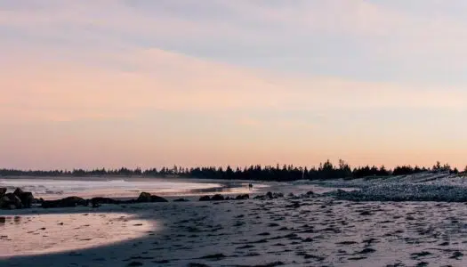 White Point Beach Resort: Das Stellar Beach Feast