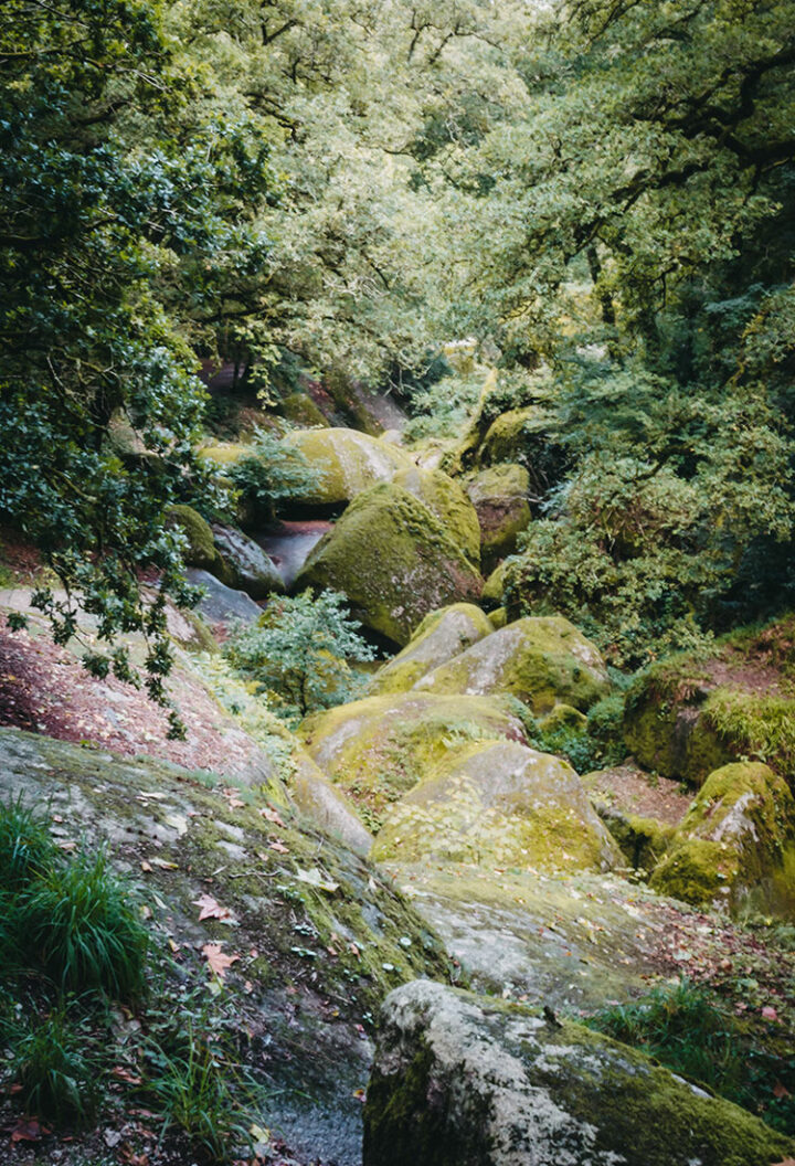 Der Zauberwald Huelgoat, Bretagne
