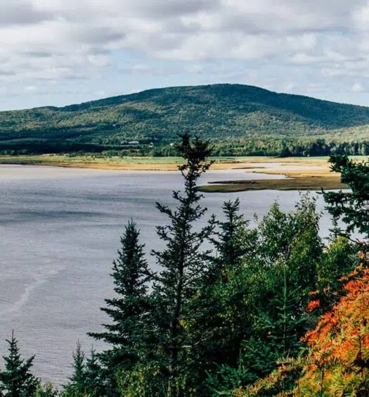 New Brunswick: Unsere Highlights an der Bay of Fundy