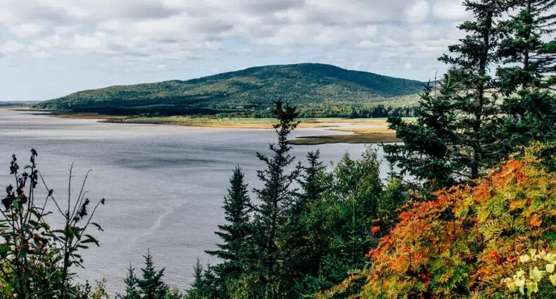 New Brunswick: Unsere Highlights an der Bay of Fundy