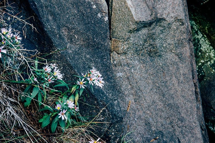 Balancing Rock, Long Island, Nova Scotia
