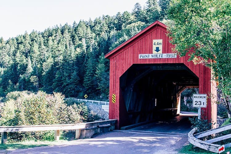 Wanderweg zum Point Wolfe