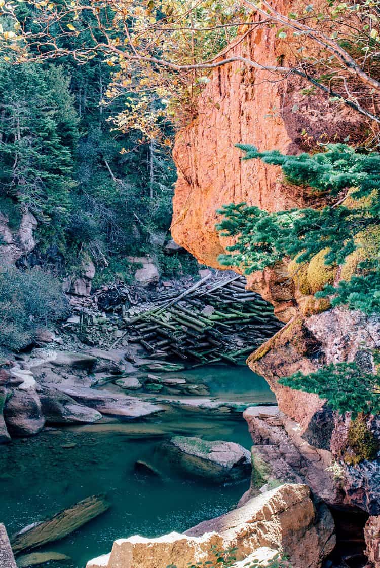 Wanderweg zum Point Wolfe