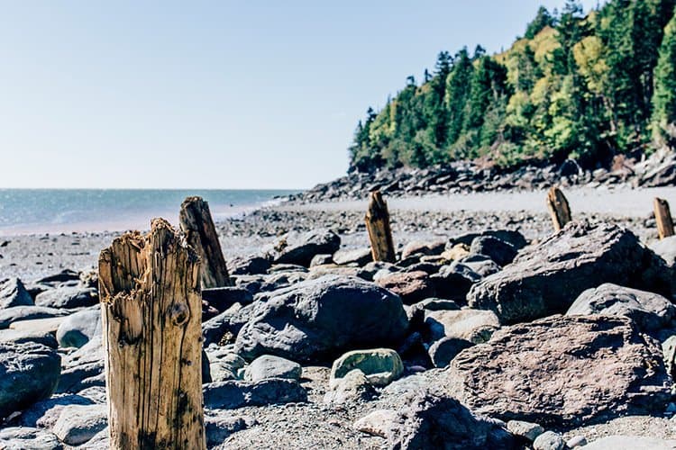 Wanderweg zum Point Wolfe