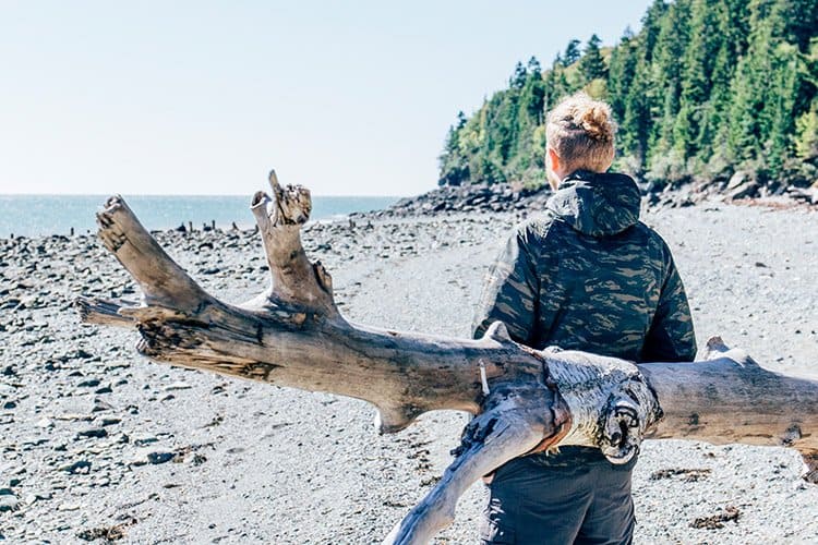 Wanderweg zum Point Wolfe