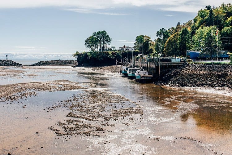Der Fundy Trail Parkway