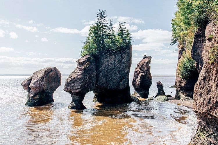 Hopewell Rocks