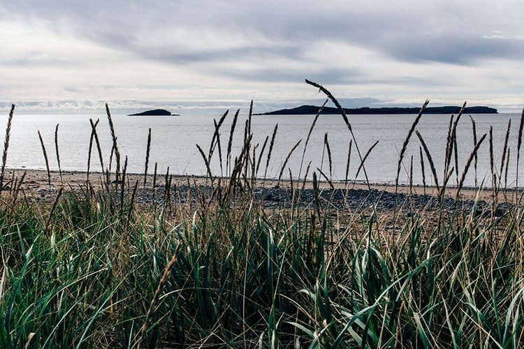 Irving Nature Park – Saint John