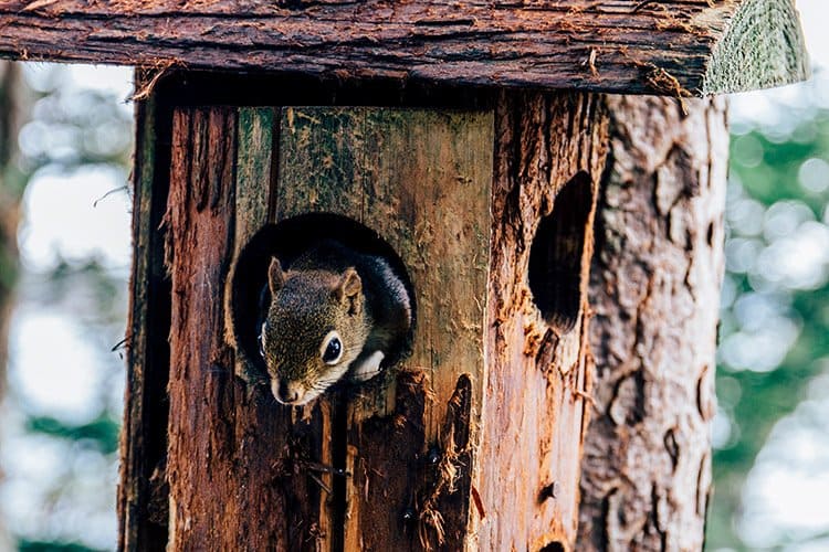 Irving Nature Park – Saint John