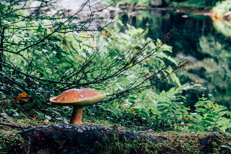 Kejimkujik National Park